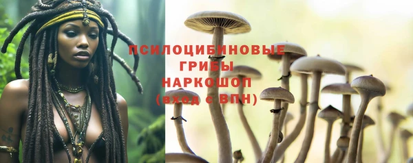 винт Михайловка