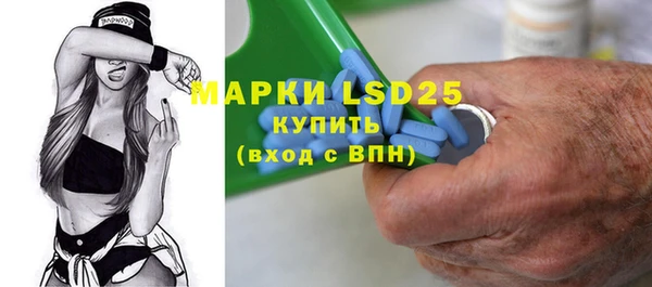 ГАЛЛЮЦИНОГЕННЫЕ ГРИБЫ Михайлов