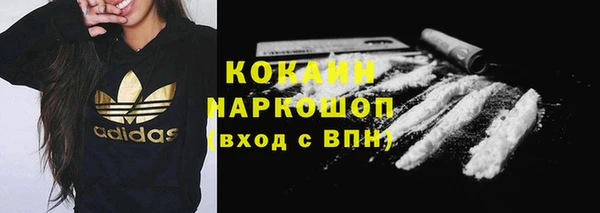 ГАЛЛЮЦИНОГЕННЫЕ ГРИБЫ Михайлов