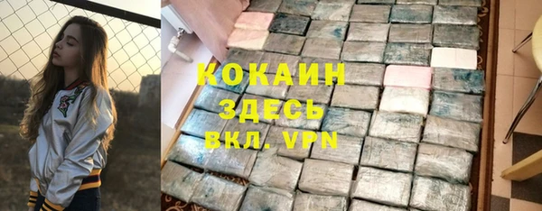 ГАЛЛЮЦИНОГЕННЫЕ ГРИБЫ Михайлов
