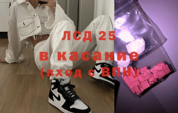 ГАЛЛЮЦИНОГЕННЫЕ ГРИБЫ Михайлов