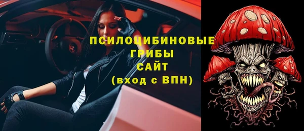 ГАЛЛЮЦИНОГЕННЫЕ ГРИБЫ Михайлов
